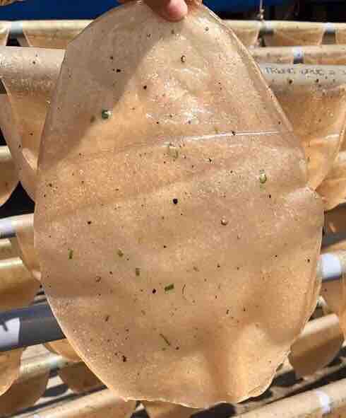 Bánh phồng tôm Cà Mau 1 Kg