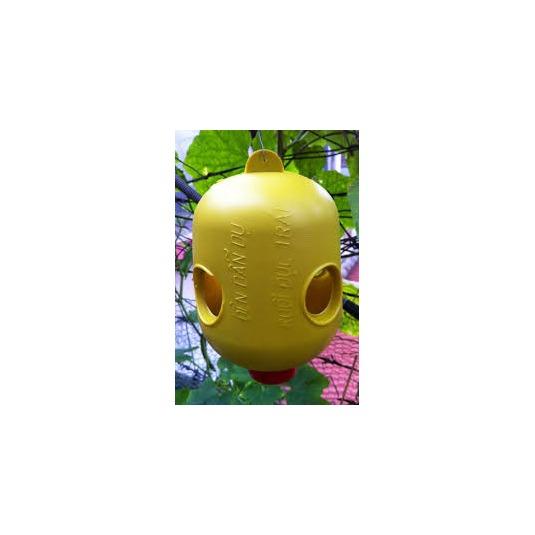 Dụng cụ bẩy ruồi vàng