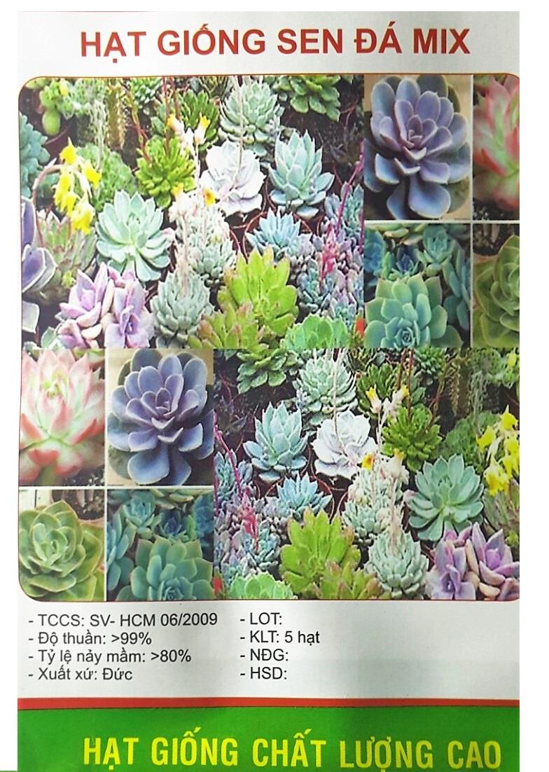 [HCM] Hạt Giống Hoa Sen Đá  Nhiều Màu   - KLT 5 hạt