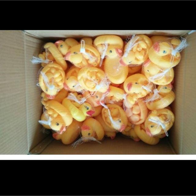 Đàn Vịt Chip Chip