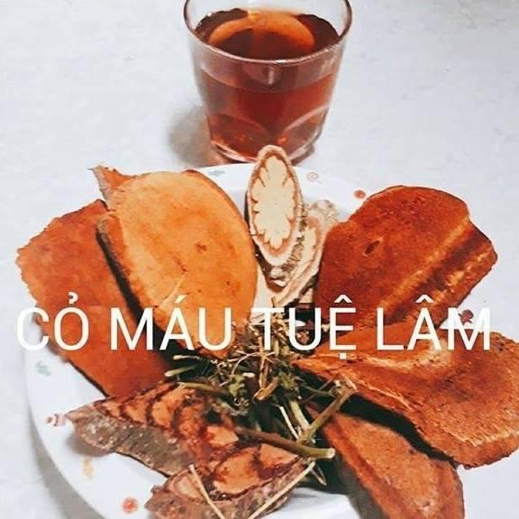 [HCM]cây cỏ máu tăng cân 1kg