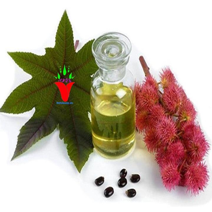 COMBO 2 CHAI DẦU THẦU DẦU ( CASTOR OIL )  100ML/1CHAI  ẤN ĐỘ