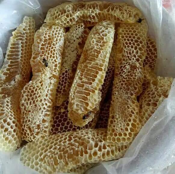 1L MẬT ONG RỪNG NGUYÊN CHẤT YÊN BÁI