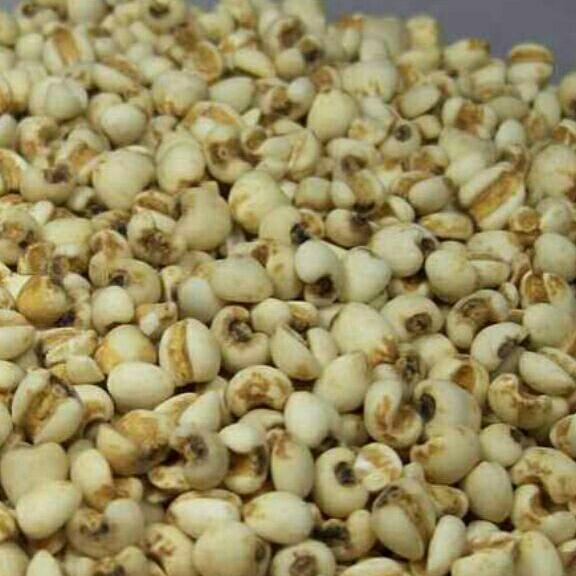Hạt ý dĩ 1kg