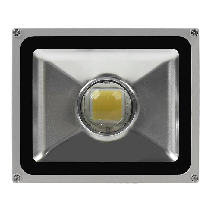 Đèn pha LED 30W Daxinco thông dụng dạng lúp