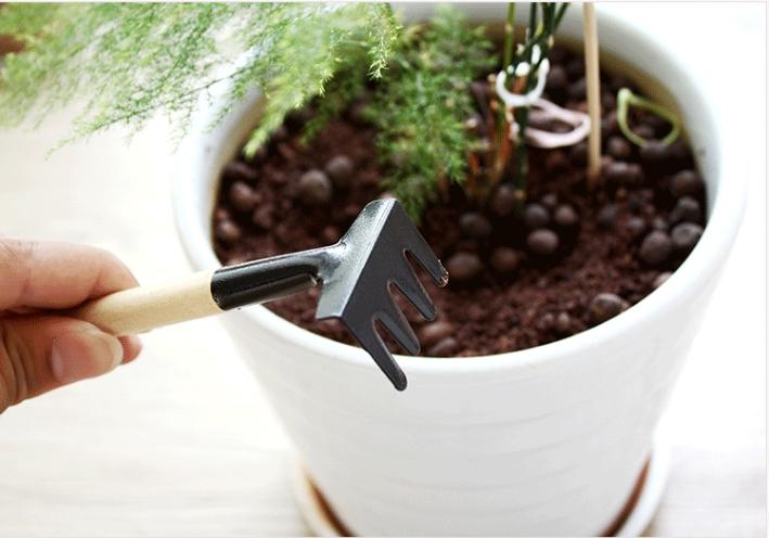 Bộ cuốc xẻng làm vườn mini