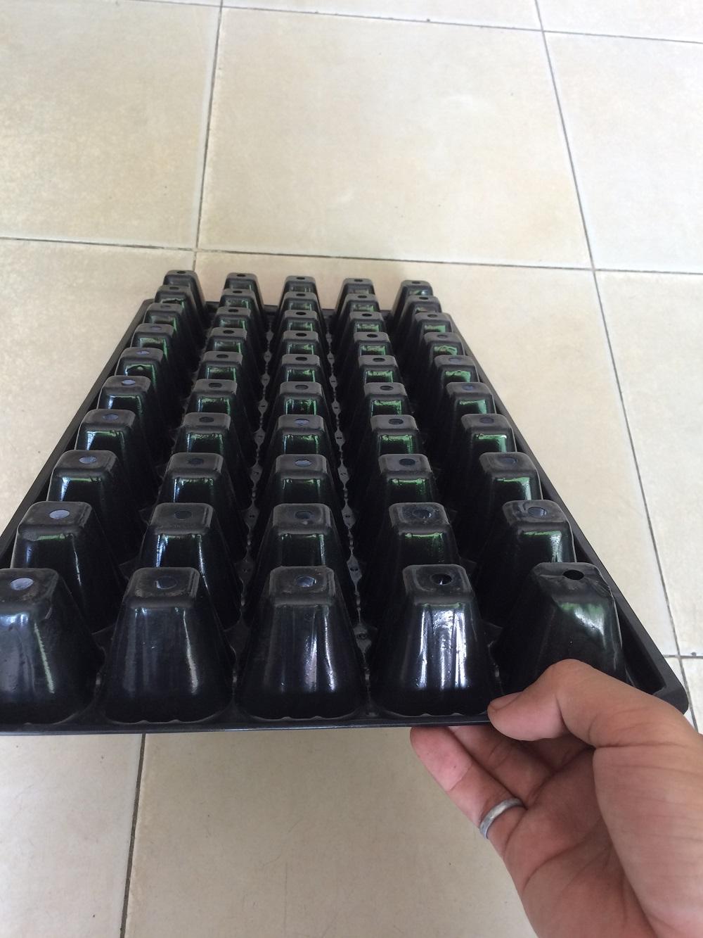 Bộ 5 khay ươm hạt giống 50 lỗ