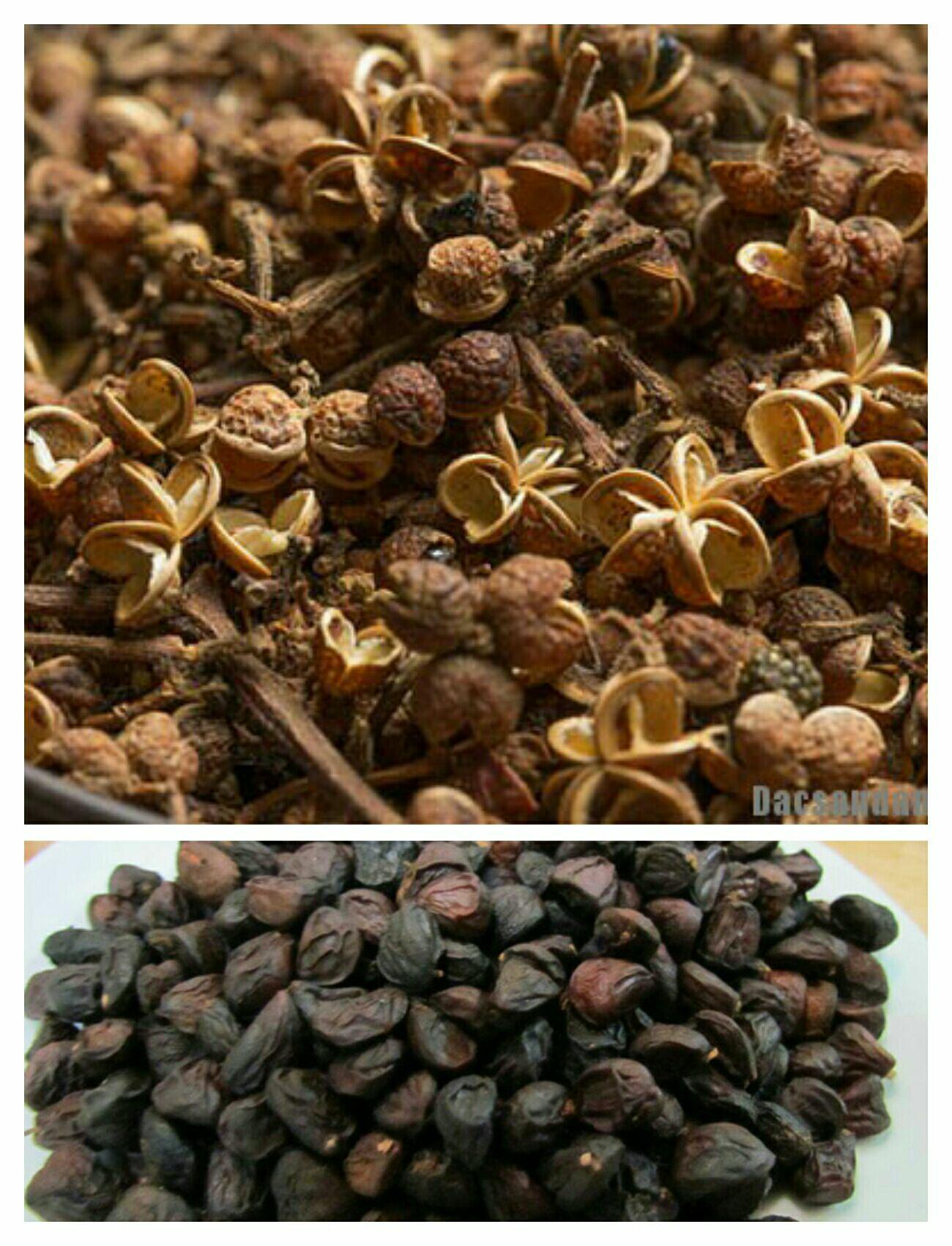 Combo 100g mắc khén + 0.5g hạt dổi rừng
