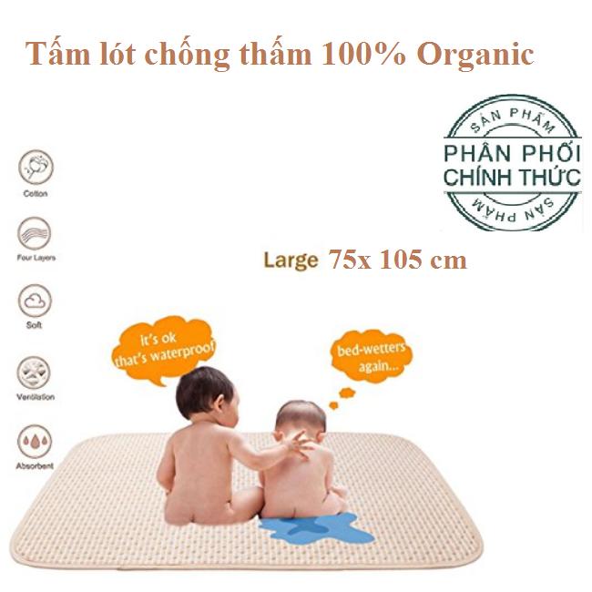 Nệm lót chống thấm Organic cotton