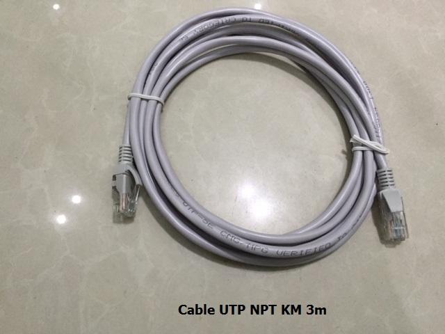 [HCM]CÁP UTP CAT 5 KM 3m TY030