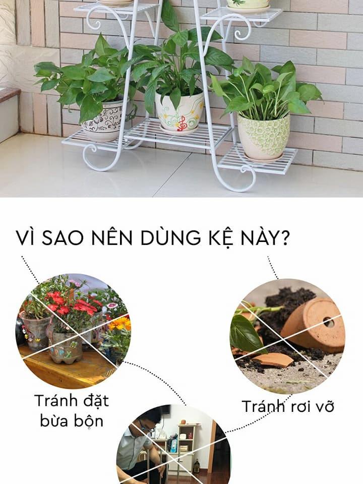 Kệ sắt để chậu hoa , cây cảnh – 4 tầng 6 chậu