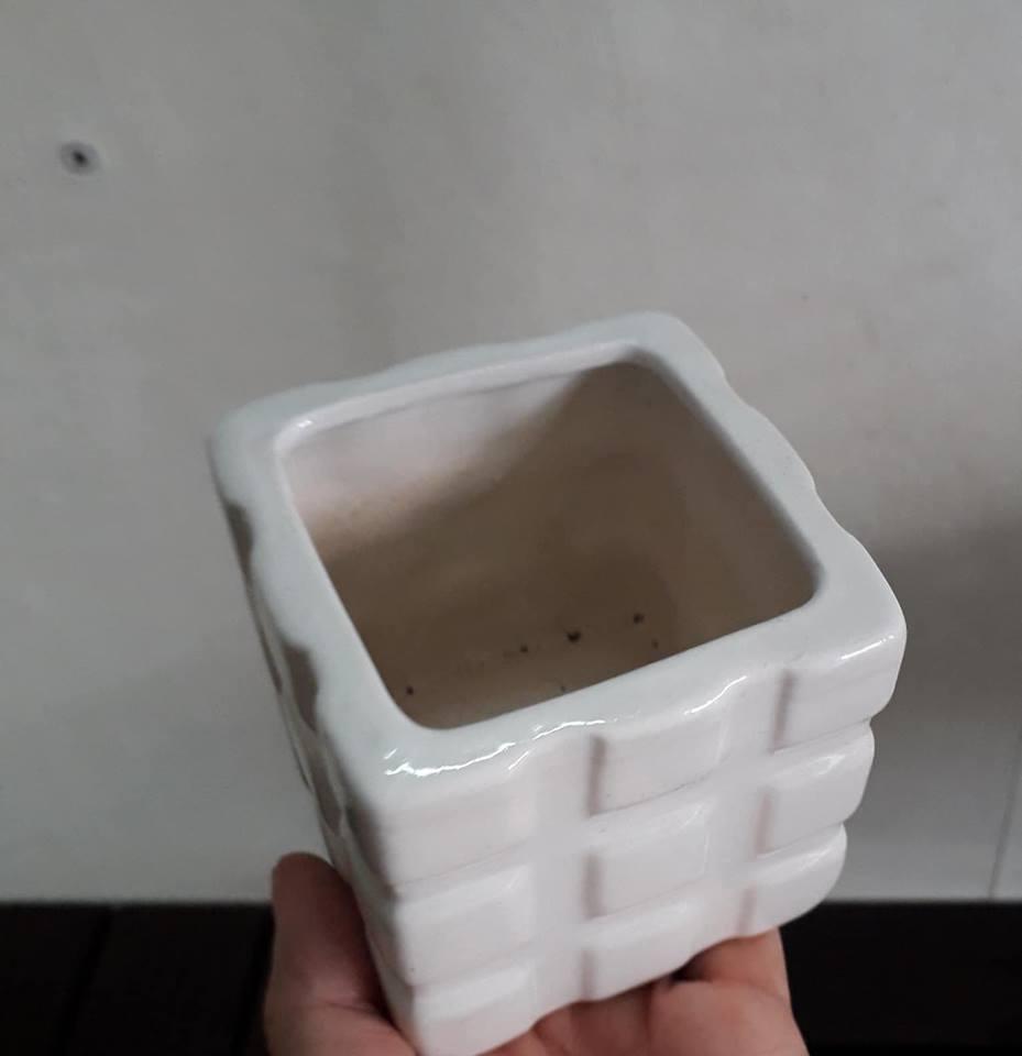 Chậu sứ trắng vuông đường kính 7cm