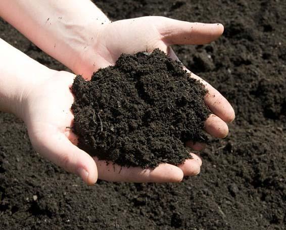 1 bag of Lavamix clean soil (5md3 / bag)