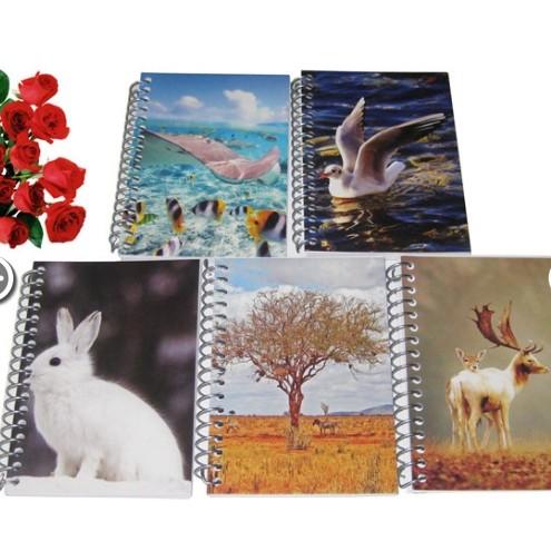 Sổ lò xo a5 200 trang