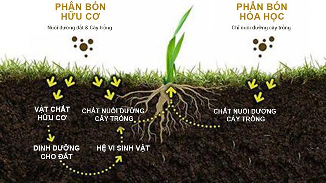 Phân bò nguyên chất - 5 túi (3 dm3/túi)