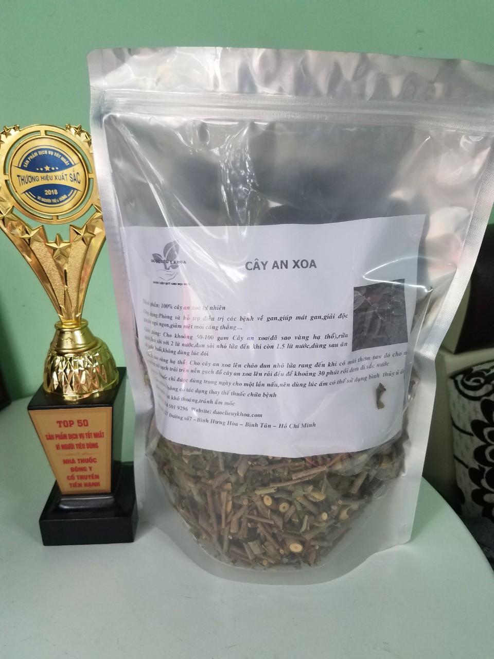 [HCM]Cây an xoa - HOA TÍM