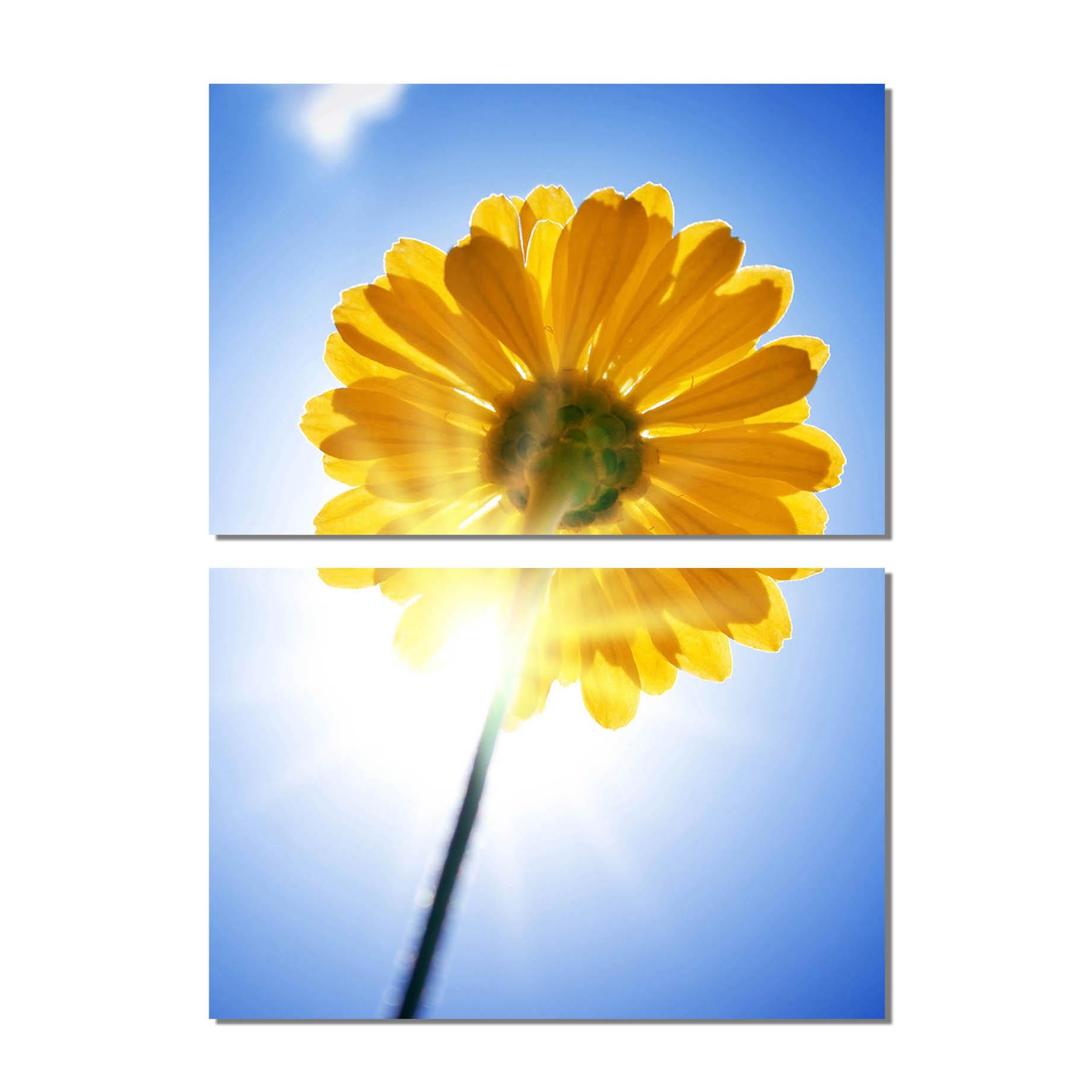 Tranh bộ Saigonposter Flower D58A (Trắng phối vàng)