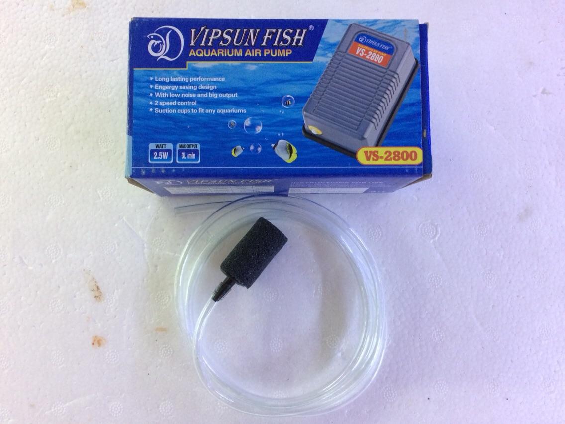 [HCM]Combo máy oxi 1 vòi 1 met dây và cục sủi