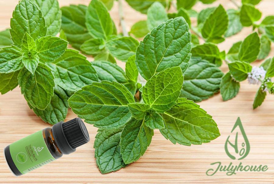 Tinh dầu Bạc Hà xông phòng 10ml