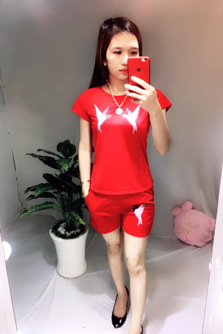 ĐỒ BỘ THUN NỮ MẶC NHÀ