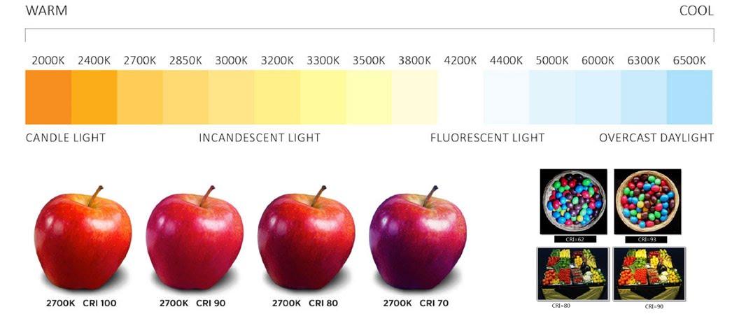 Bộ 10 bóng đèn Led Búp INTELEC 9W Ánh Sáng Trắng (6500K)