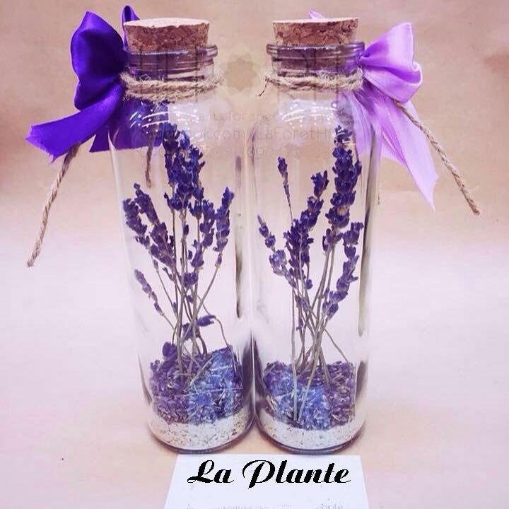 Lọ hoa lavender