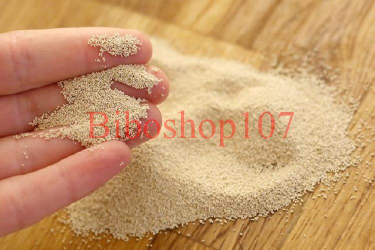 Men khô bánh mỳ lạt Saf-Instant đỏ Pháp (500gr)