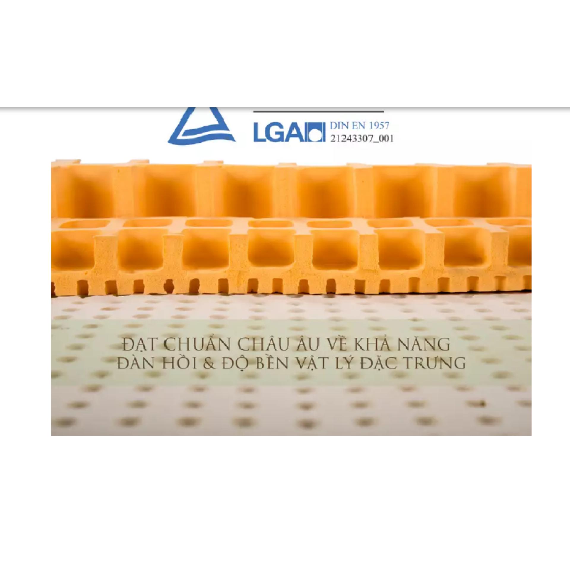 NỆM CAO SU VẠN THÀNH STANDARD 100x200x5cm