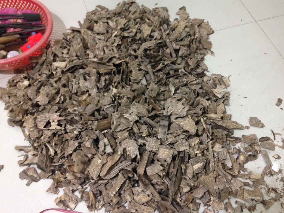 Trầm Nụ Thác Khói