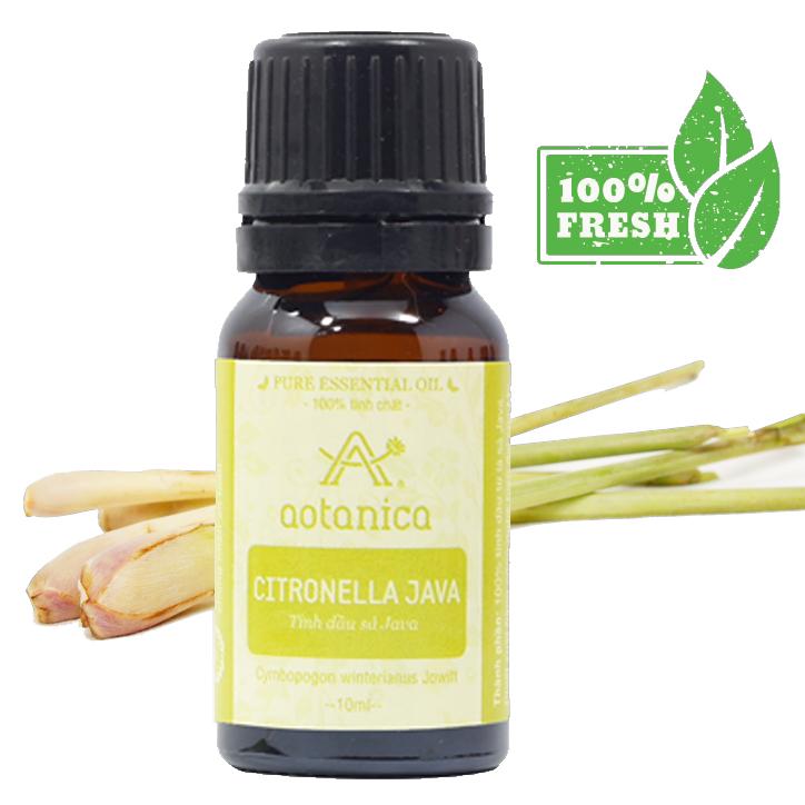Tinh dầu Sả 100% tự nhiên Aotanica