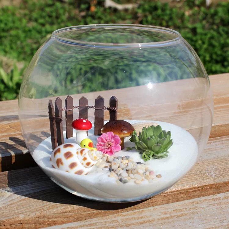 Hồ Cá Thuỷ Tinh Bầu Bể Cá D10cm x H8cm T07