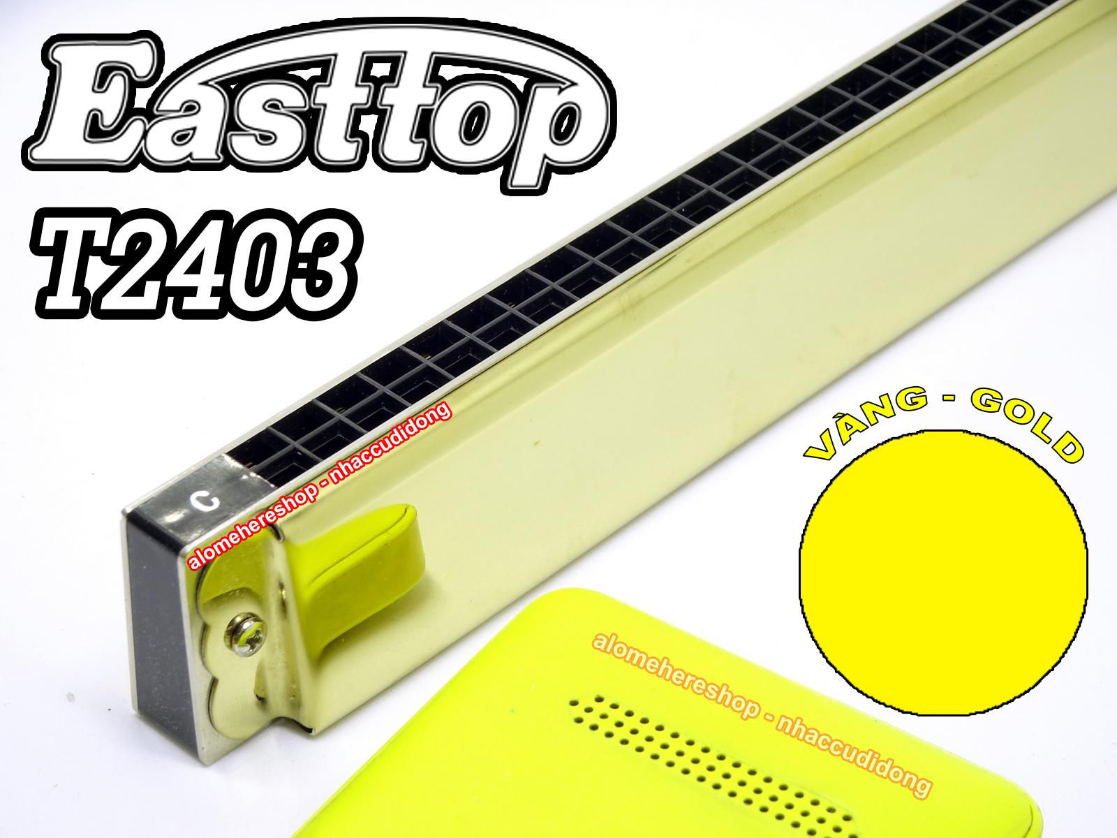 Kèn harmonica tremolo Easttop T2403 Key C