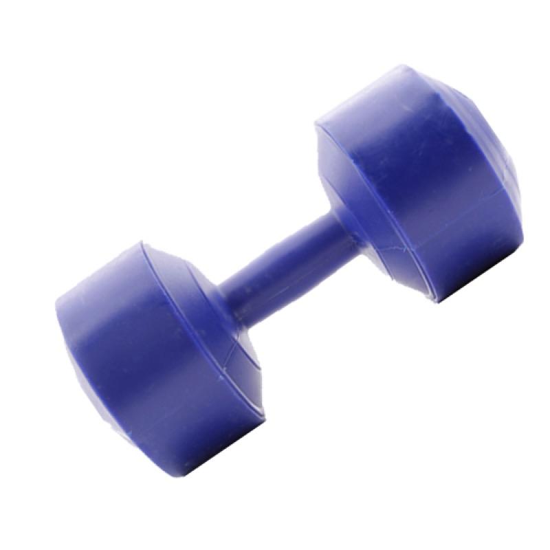 Bộ 2 tạ tay VN 2kg (Xanh dương)