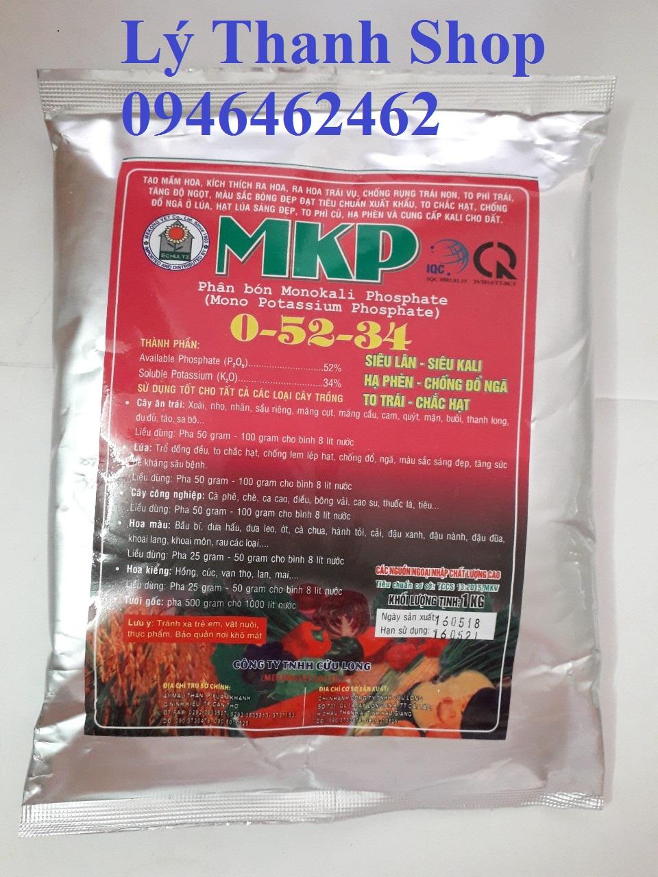 Phân bón Lá MKP 0-52-34 1 KG