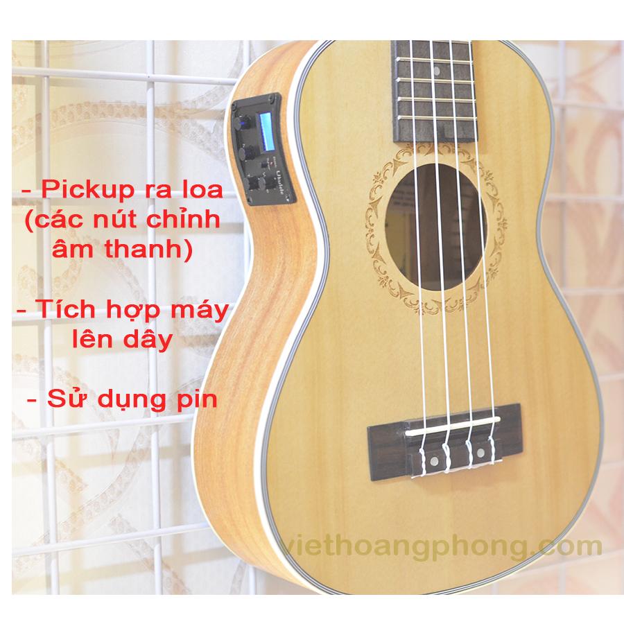 [HCM]Đàn Ukulele Concert gỗ Thông (Pick-up) tặng kèm Jack 6 ly cắm ra loa - HappyLive Shop