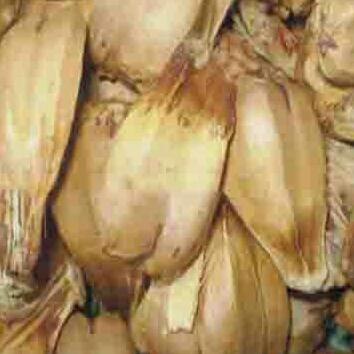 Quả dứa rừng khô 1kg.