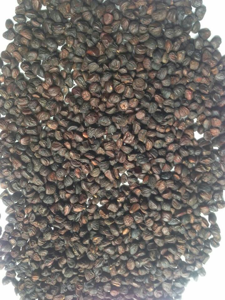 100g hạt dổi