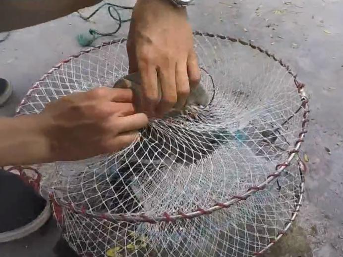 Lồng Bẫy Baba Cua Cá Dễ Dàng Tiện Lợi