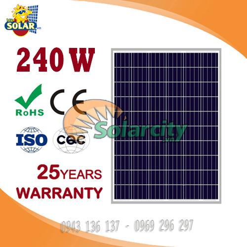 Pin năng lượng mặt trời world energy poly 240w