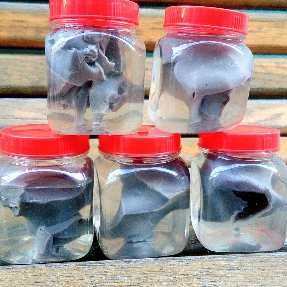 Combo 5 hộp keo bẫy chim