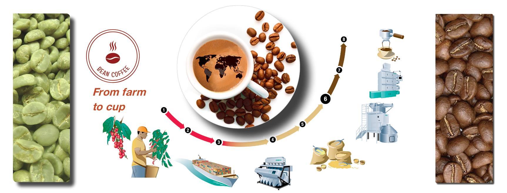 Cà phê Arabica 18