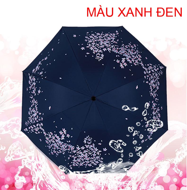 [HCM]Dù xếp hoa anh đào V.3 (màu xanh đen)