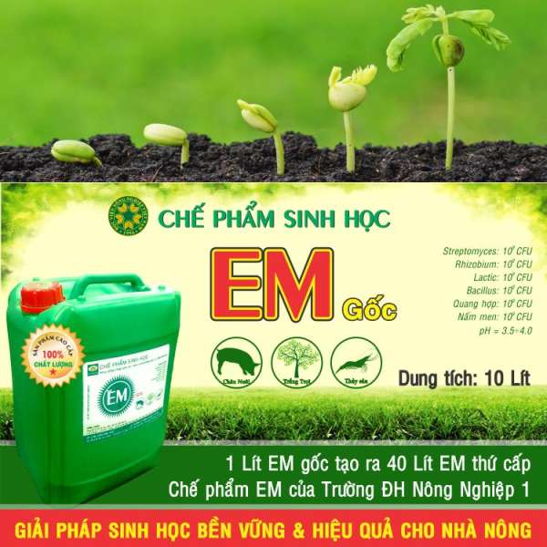 Chế phẩm sinh học EM gốc (EM1)