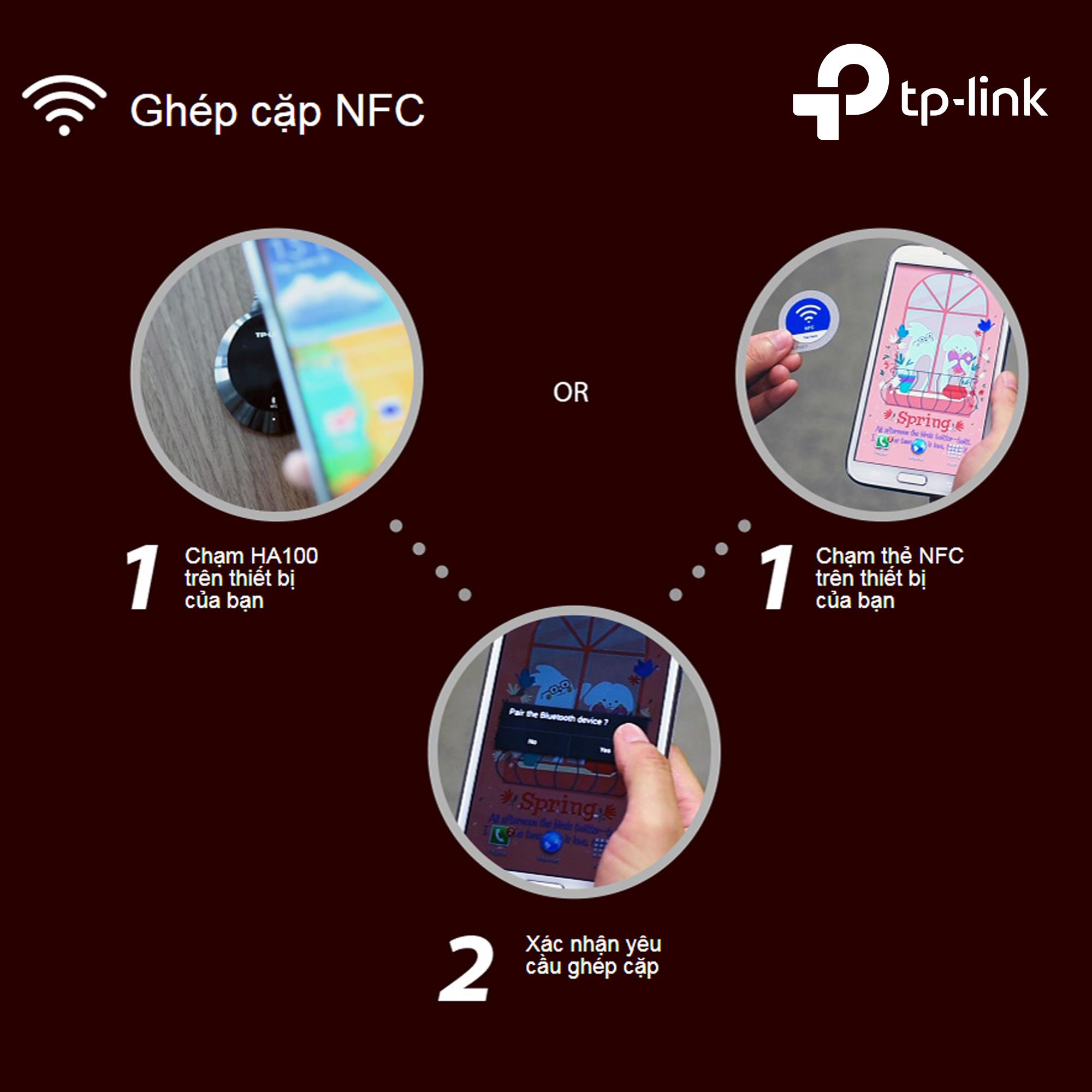 Thiết Bị Truyền Tải nhạc TP-Link HA100 Bluetooth 4.1