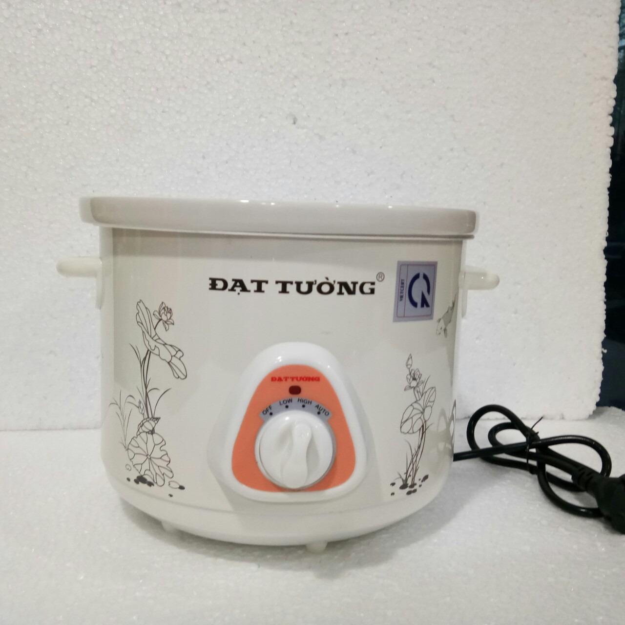 Nồi Đạt Tường hầm cháo, nấu chậm,kho cá đa năng 2.5 lít
