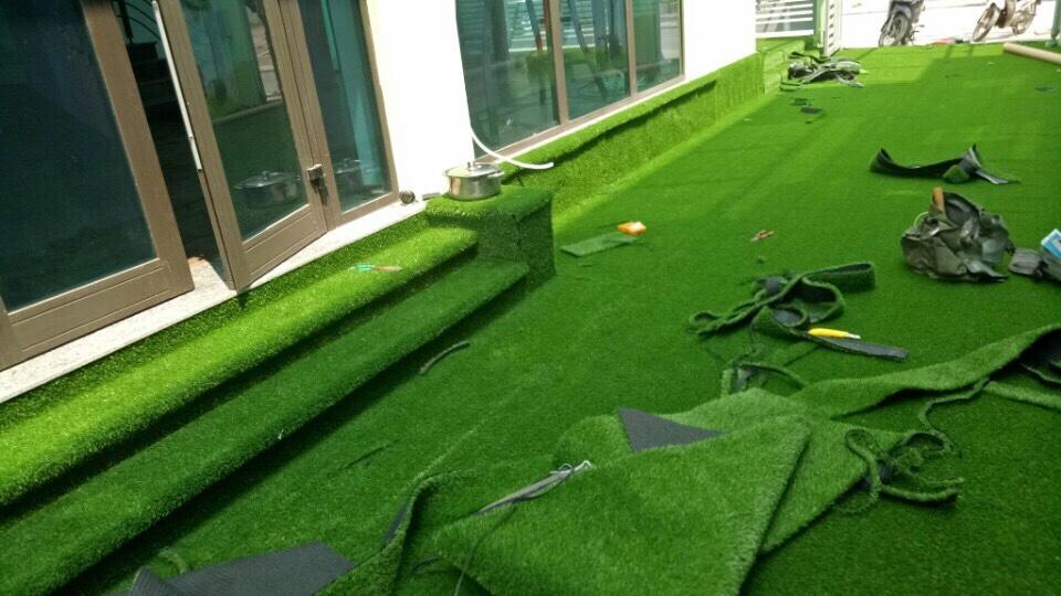 20 m2 thảm cỏ nhân tạo PVC cao cấp Cao 2cm- kt 2m x 10m