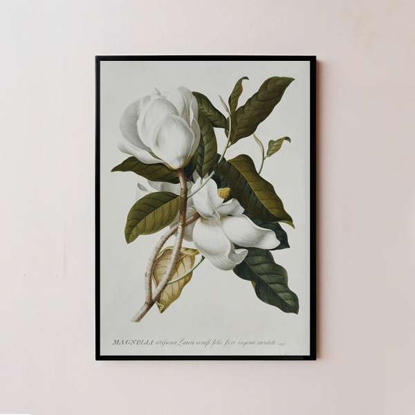 Khung ảnh gỗ 20x30cm (Kích thước A4)  màu đen - Magnolia