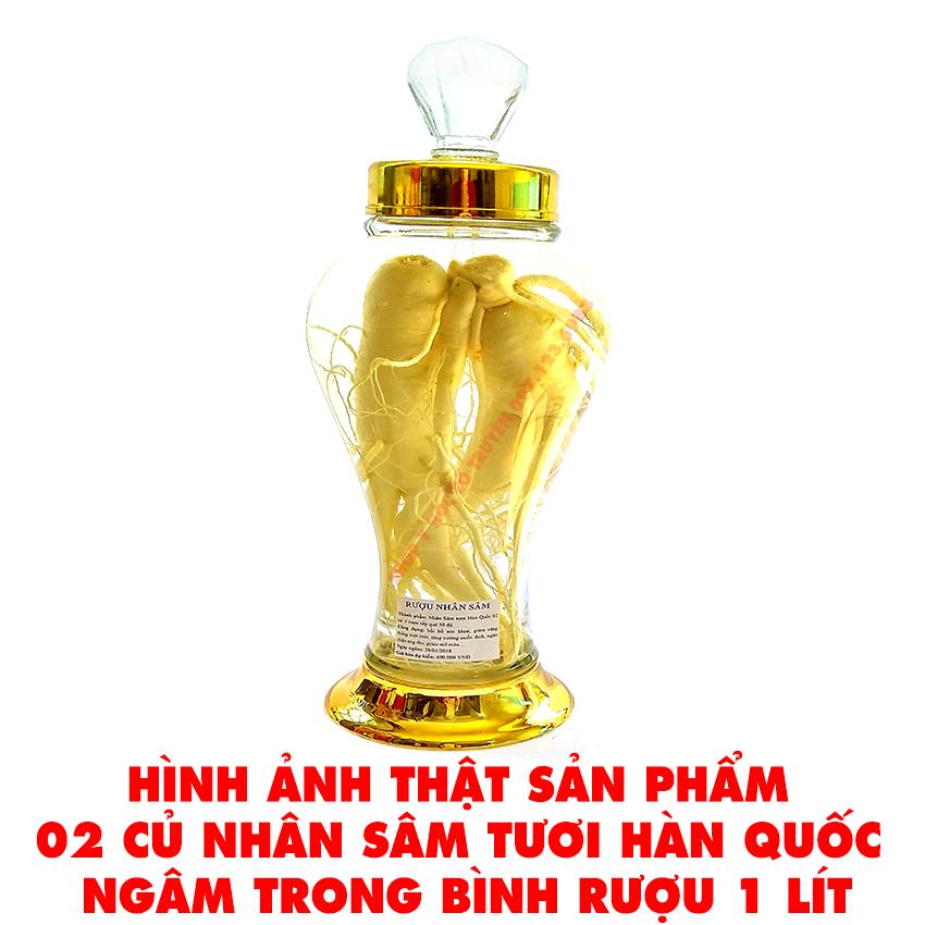 Combo 2 Nhân sâm tươi Hàn Quốc (Loại tốt) - Tặng 200gTáo đỏ