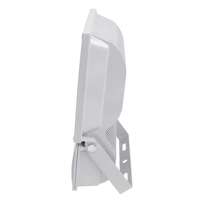 Đèn pha LED 70W Daxinco thông dụng