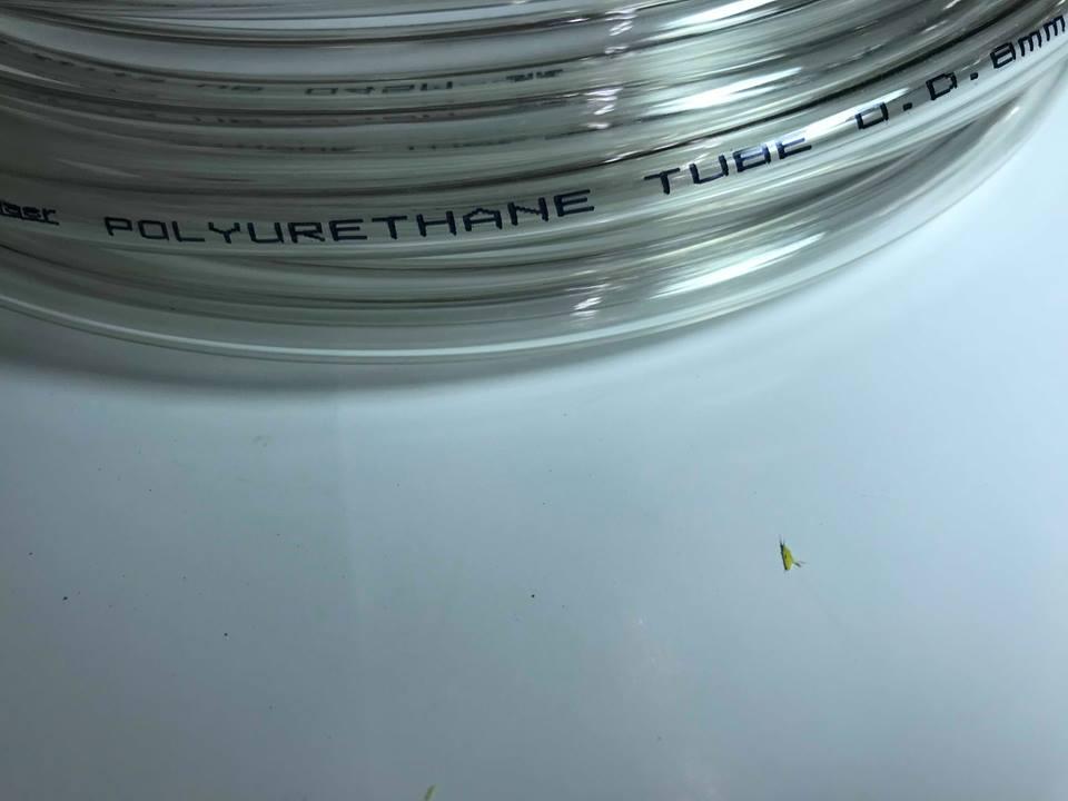 6M cuộn dây hơi trắng 5x8mm (NB) kèm dắt